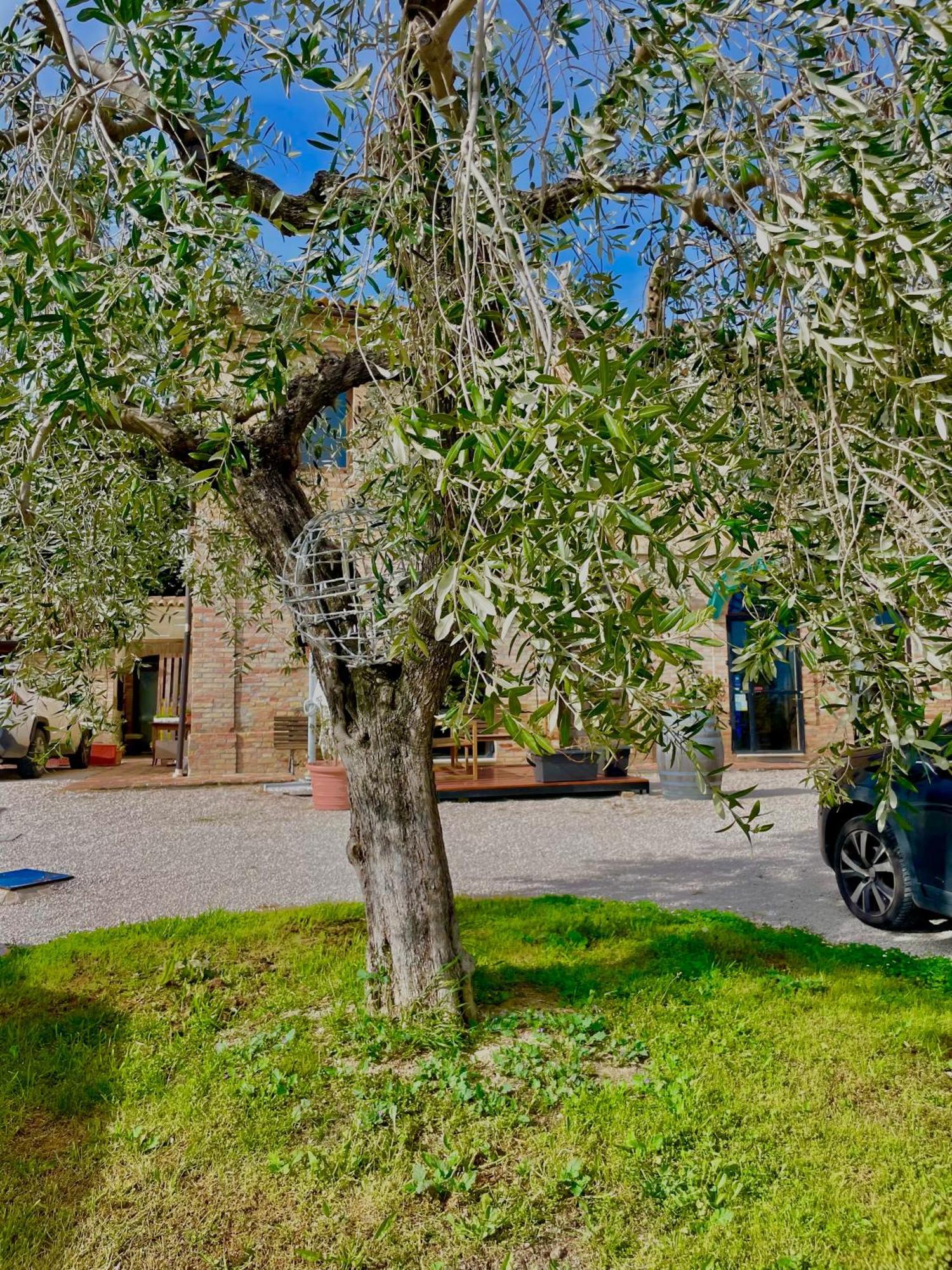 Masseria Tattoni - Residenza Di Campagna - Narramondo Villas Bellante Dış mekan fotoğraf